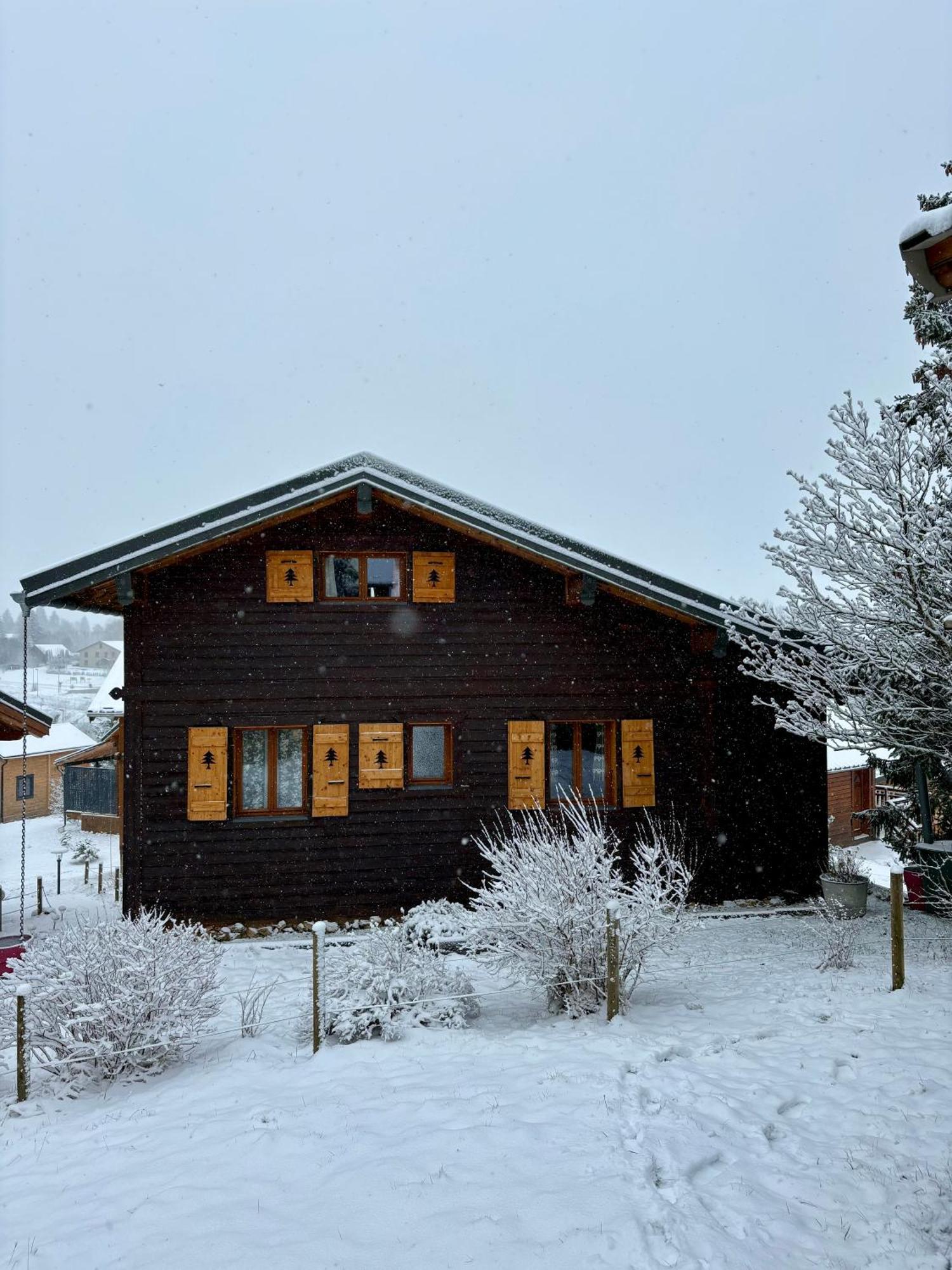 Chalet L'Embellie - Chalet Avec Piscine Partagee Saint-Laurent-en-Grandvaux 외부 사진