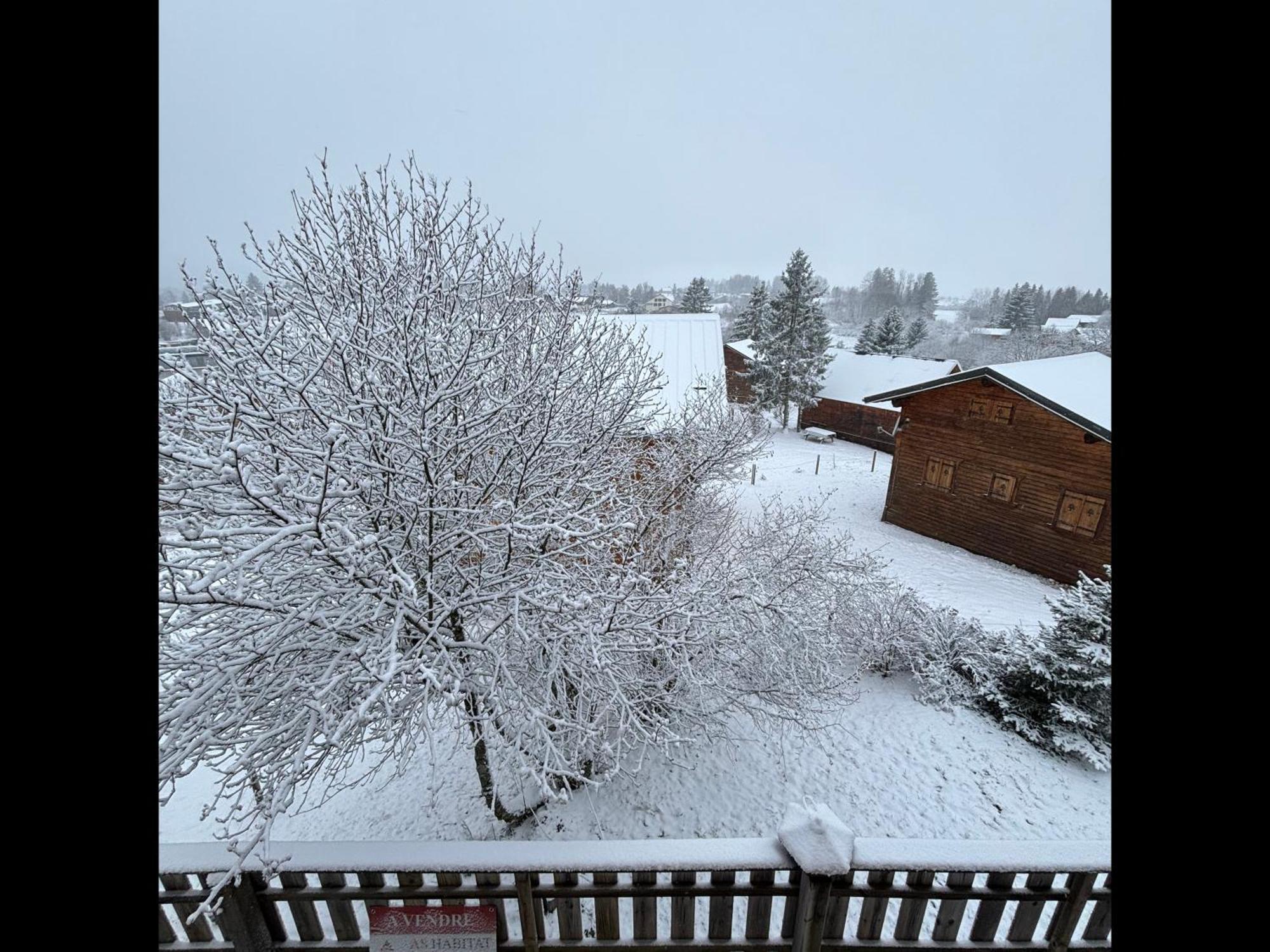 Chalet L'Embellie - Chalet Avec Piscine Partagee Saint-Laurent-en-Grandvaux 외부 사진